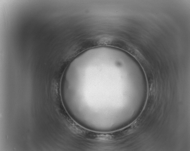 X0000071770363200607150034