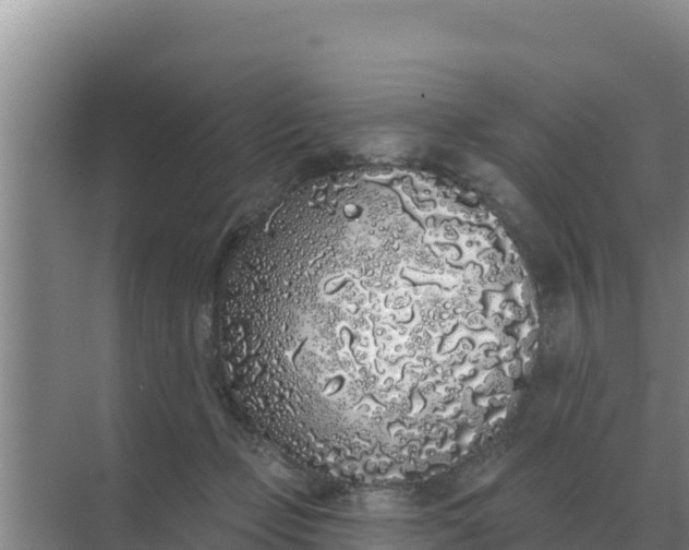 X0000071770365200607150034