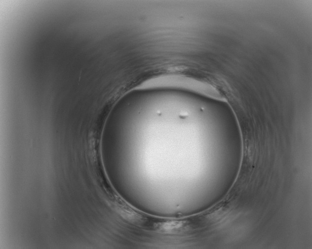 X0000071770366200607150034