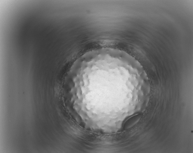 X0000071770367200607150034