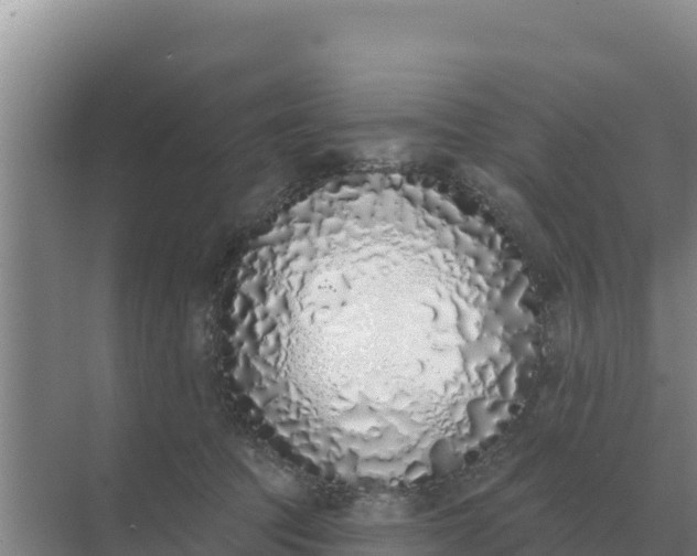 X0000071770369200607150034