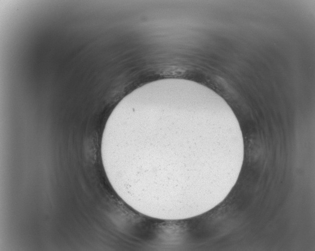 X0000071770370200607150034