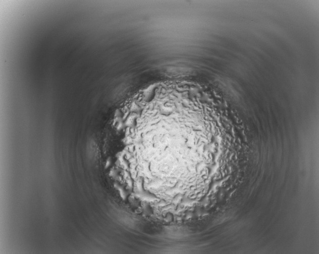 X0000071770371200607150034