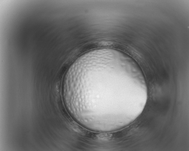 X0000071770373200607150034