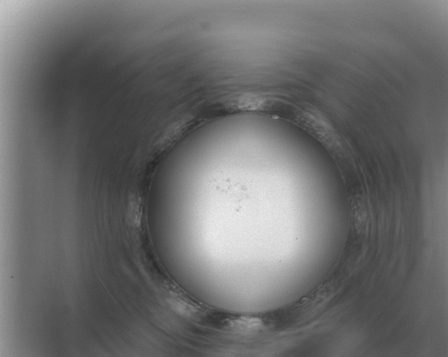 X0000071770374200607150034