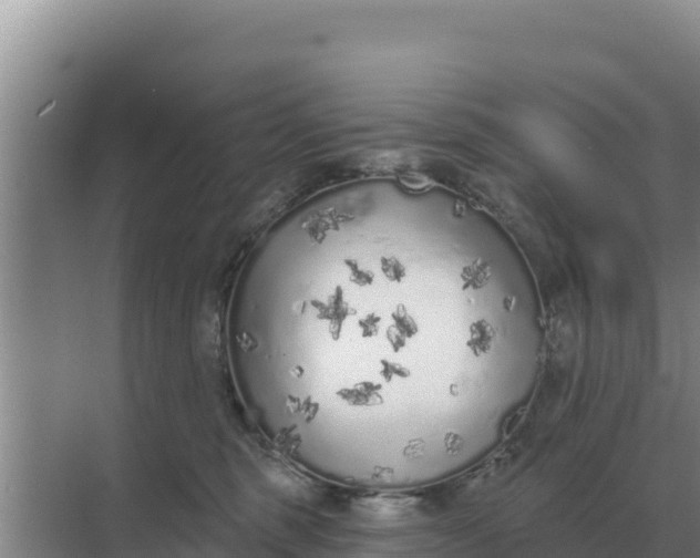 X0000071770375200607150034