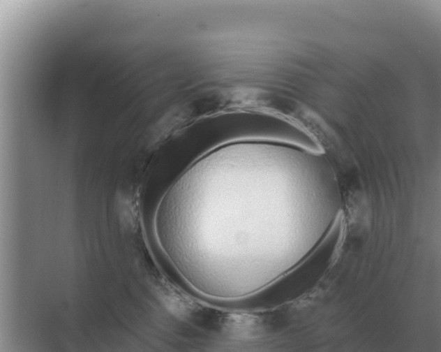 X0000071770376200607150034