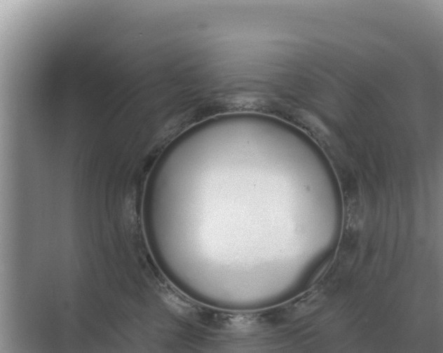 X0000071770377200607150034