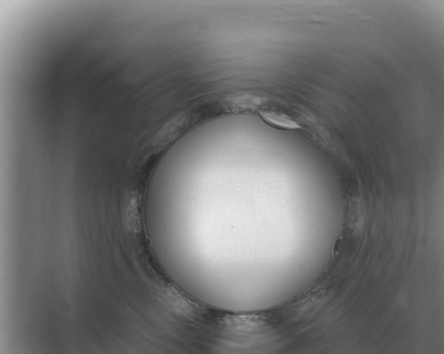 X0000071770378200607150035