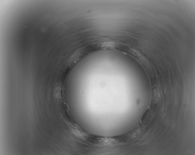 X0000071770379200607150035