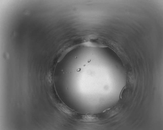 X0000071770380200607150035