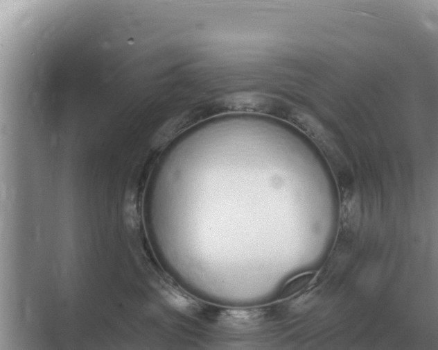 X0000071770381200607150035