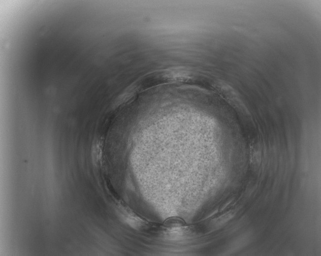 X0000071770382200607150035