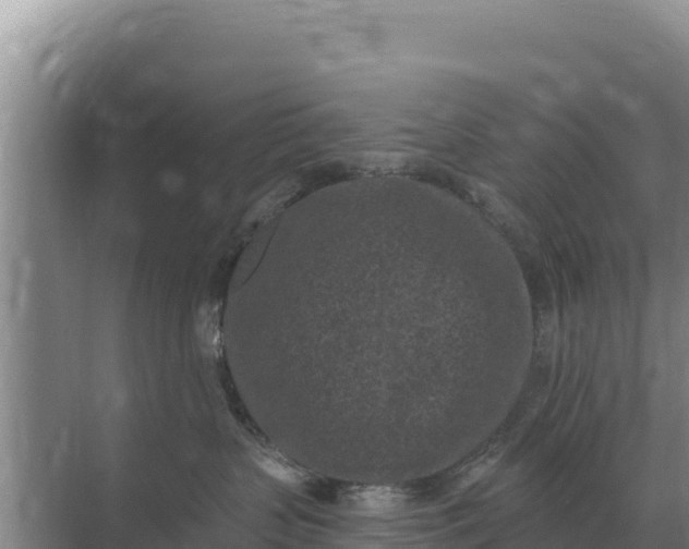 X0000071770383200607150035