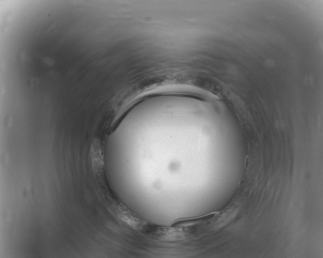 X0000071770384200607150035