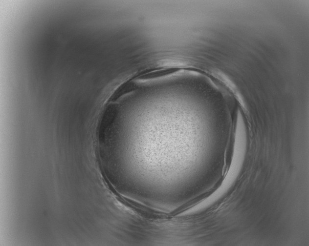 X0000071770385200607150034