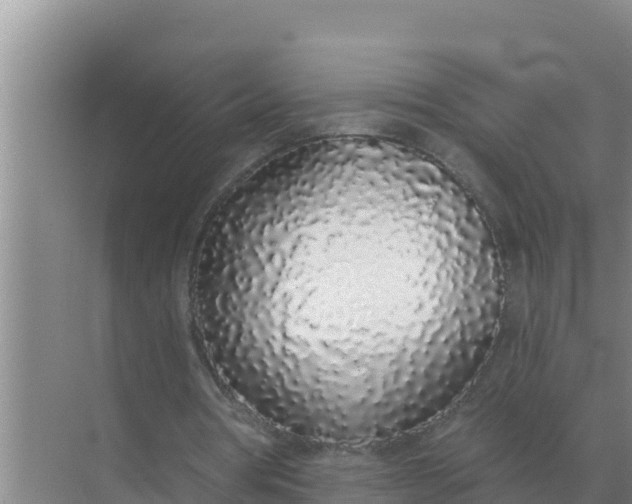 X0000071770386200607150034