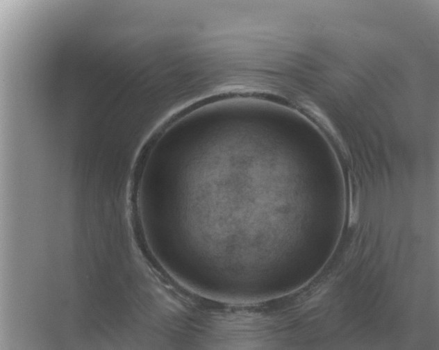 X0000071770387200607150034