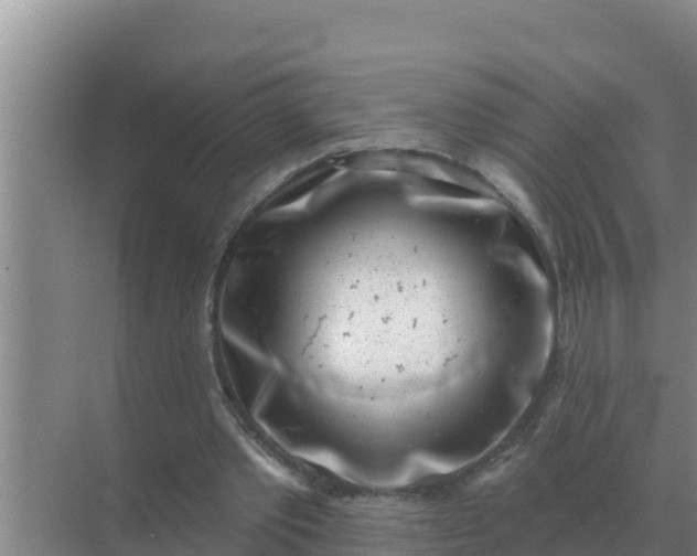 X0000071770389200607150034