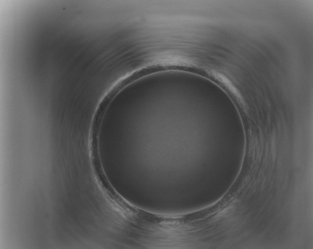 X0000071770391200607150034