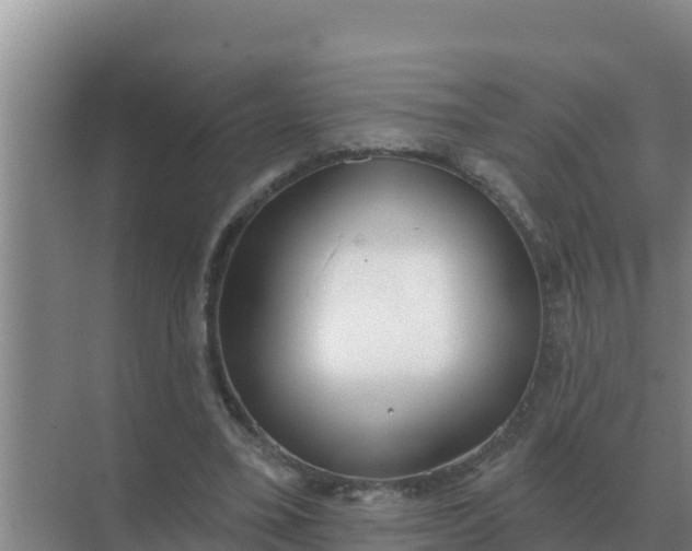 X0000071770395200607150034