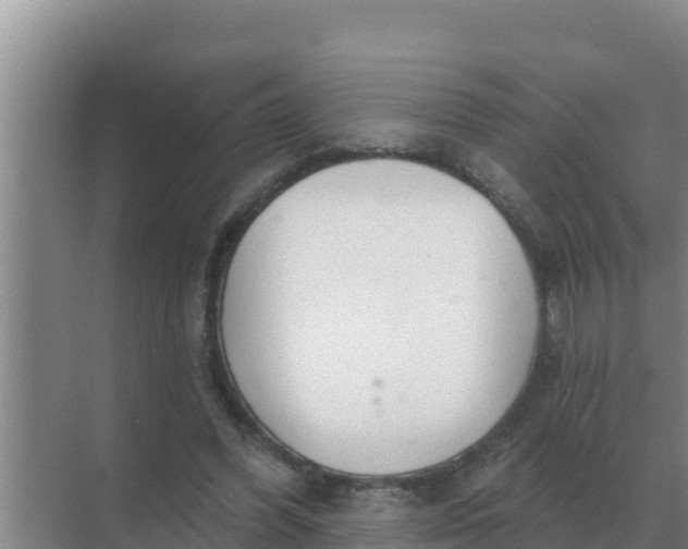 X0000071770396200607150034