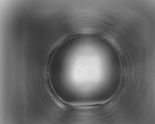 X0000071770397200607150034