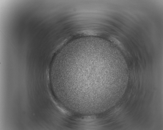 X0000071770398200607150034