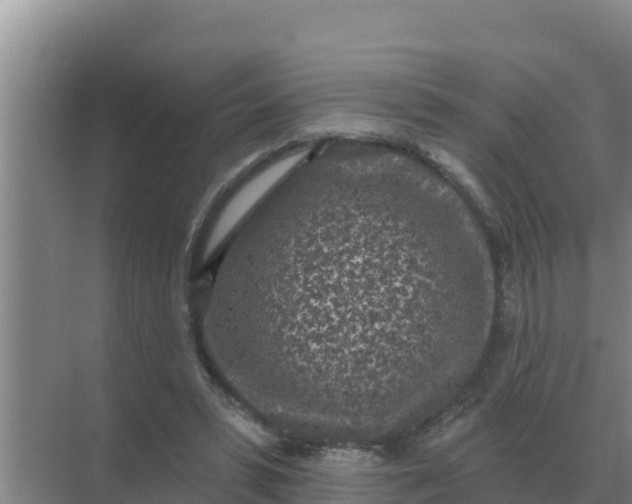 X0000071770399200607150034