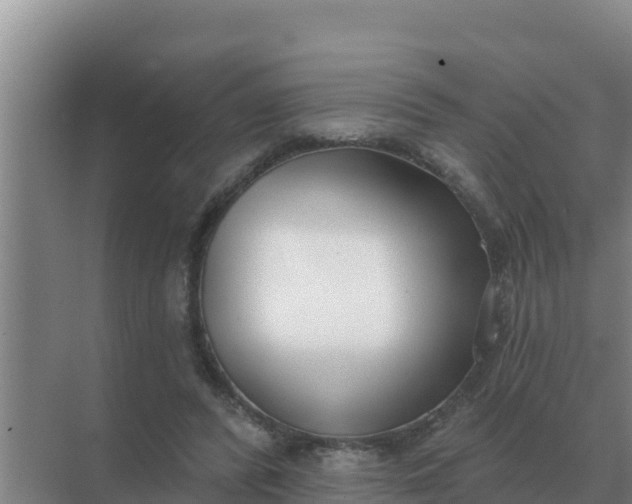 X0000071770400200607150034