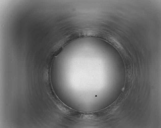 X0000071770401200607150034