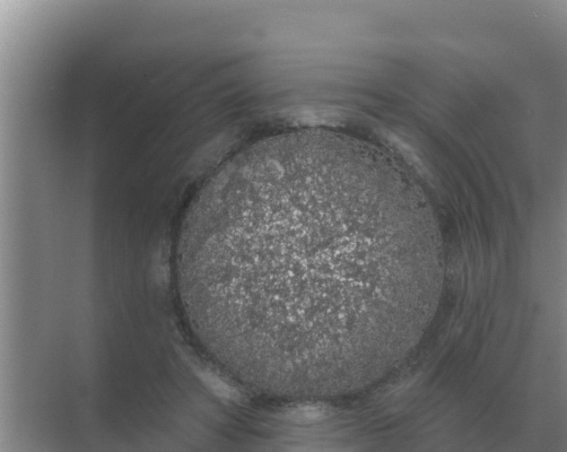 X0000071770402200607150034