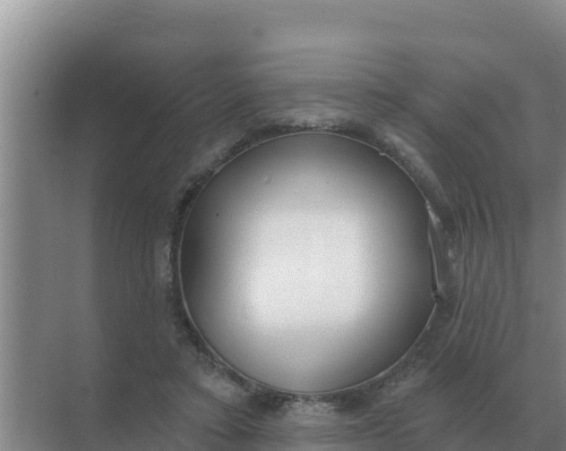 X0000071770403200607150033