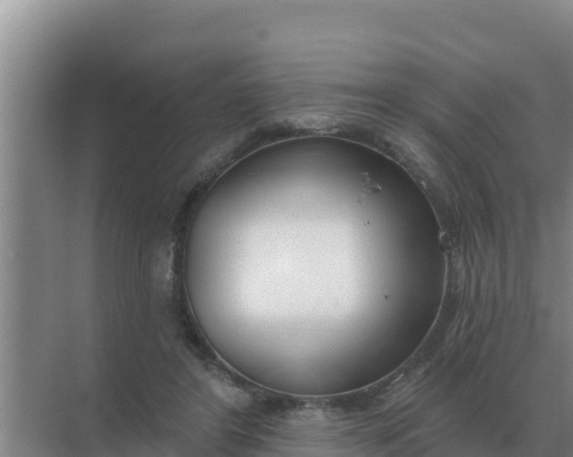 X0000071770404200607150033