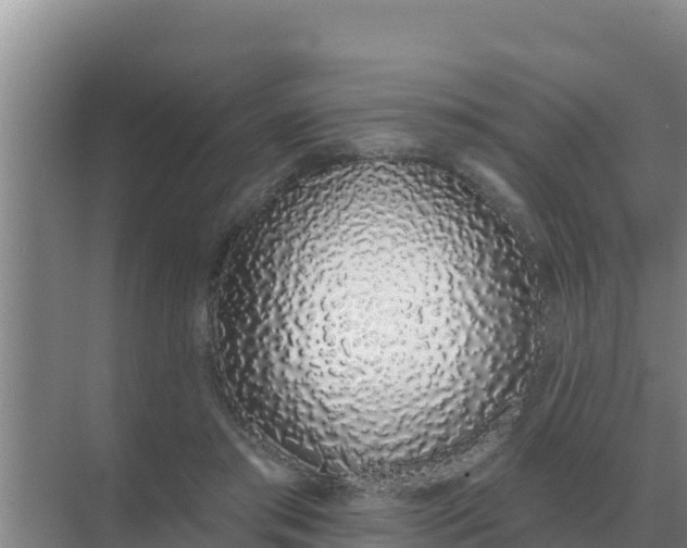 X0000071770405200607150033