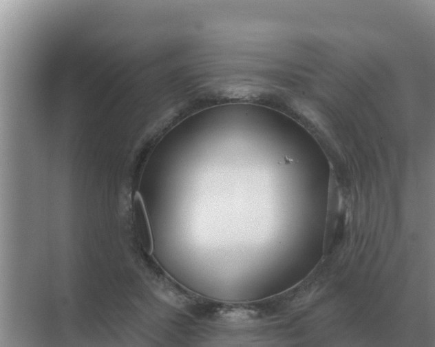 X0000071770407200607150033