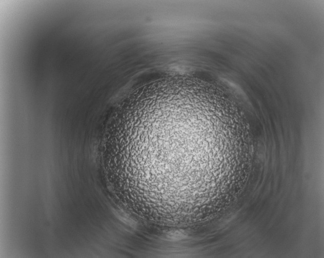 X0000071770409200607150033