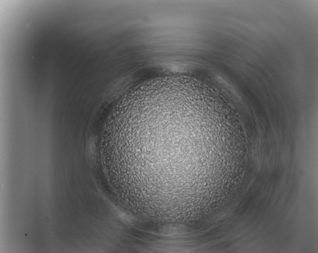 X0000071770410200607150033