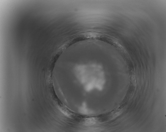 X0000071770411200607150033