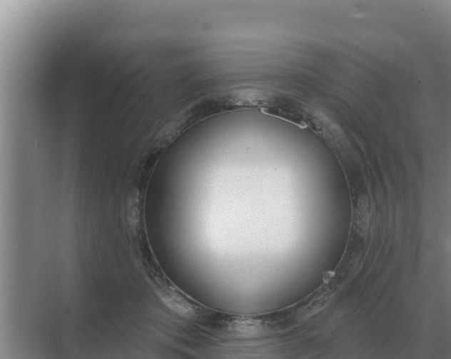 X0000071770413200607150033