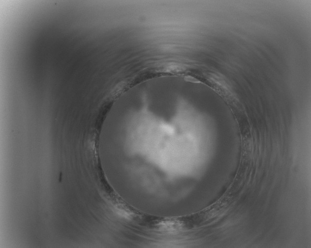 X0000071770415200607150033