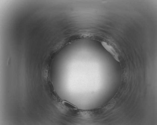 X0000071770417200607150033