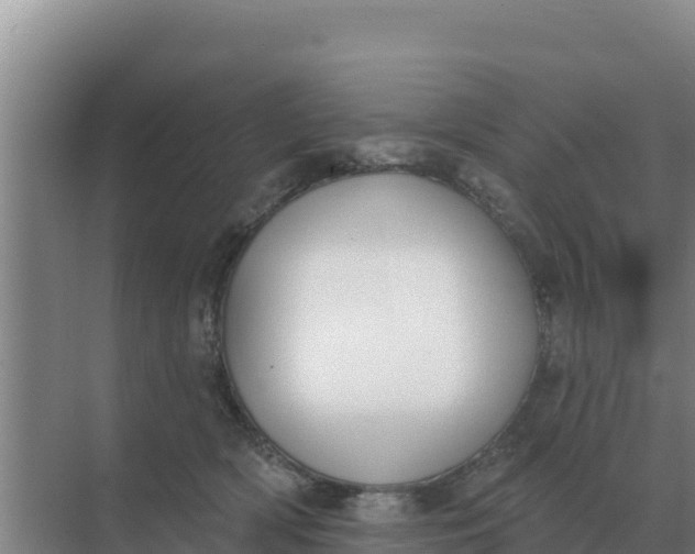 X0000071770418200607150033