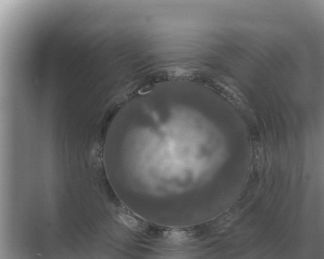 X0000071770419200607150033