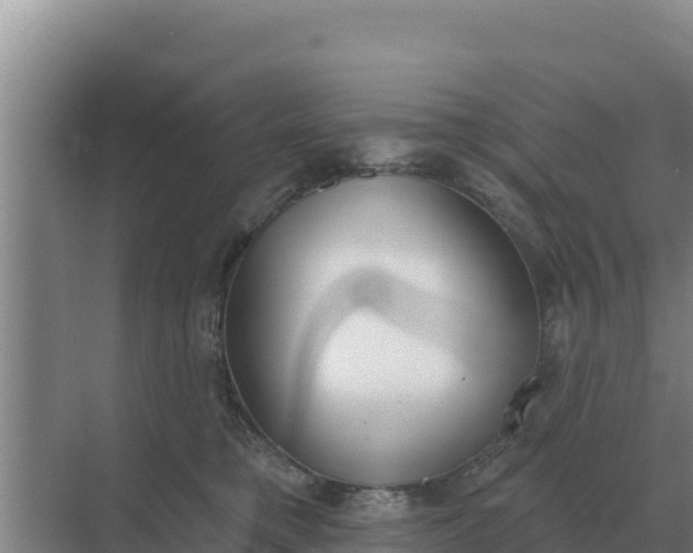 X0000071770421200607150033