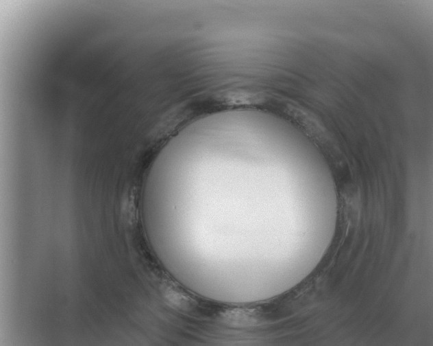 X0000071770422200607150033