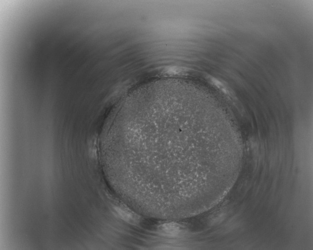 X0000071770423200607150033