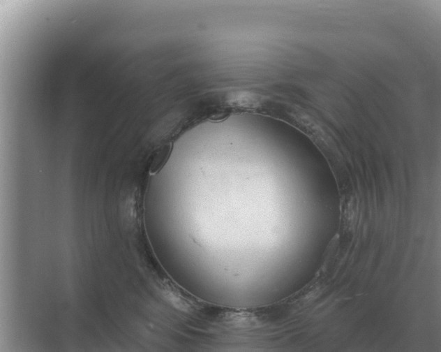 X0000071770424200607150033