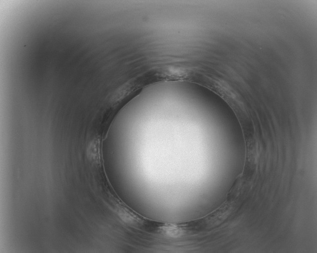 X0000071770425200607150033