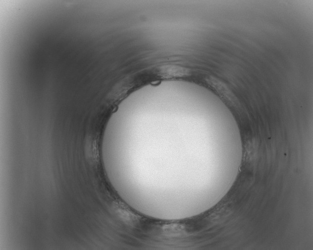 X0000071770426200607150033